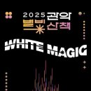 별빛처럼 티스토리