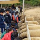 고창청정유기농낙농영농조합법인 전북도민일보