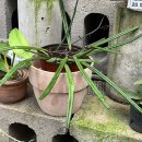 우성농원 이미지