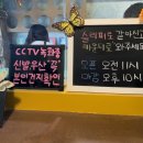 고양이네 생선가게 | 수원 당일치기 여행 고양이카페 고양이네생선가게 후기