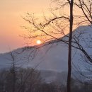 일출 난 농원 이미지