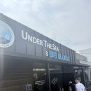 제주 바다를 처음 만난 날, 외국인 친구들과 함께한...언더더씨 체험 후기/제주도스킨스쿠버,제주도...