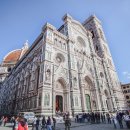 지니민박 이미지