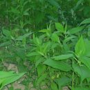 봉학농장 이미지