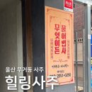 힐링 | 울산신년운세 힐링사주 상담 후기