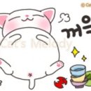 노닥노닥