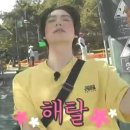 맥스체대입시수원교육원