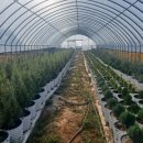 석남농장 이미지