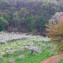 대종농장 이미지