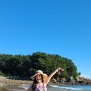 대천스포츠 이미지