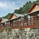 어비 포레스트 이미지