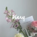 [임신준비] 시험관 난자채취 후 복수 흉수로 2주간 입원일기 배아갯수 결과 (합병증 혈흉까지)