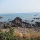 대포포구1 이미지