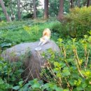 대왕암공원관리사무소 이미지