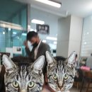 내외동사무소 이미지