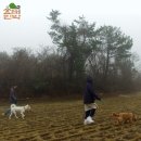 해변산책민박 이미지