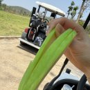 세레니티골프앤리조트 | [아티타야cc] 태국 치앙마이 아티타야 골프 앤 리조트 후기