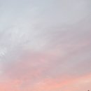 카페안경 이미지