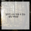 연세남부치과의원 이미지