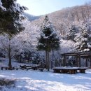 청평휴양림펜션 이미지