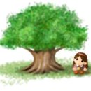 종*김* - 양양군 양양로 154-9 | 종*김*