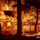 (주)캘리포니아폴스 이미지