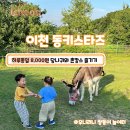 이천촌캉스 이미지