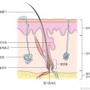 신림역 8번출구 앞 이미지