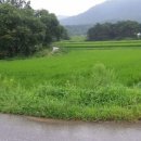 보절면 사촌마을 이미지