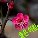 산성체육관 이미지