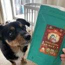 마미나은 | [강아지 요로결석 영양제 추천]우리 아이 요로 건강 위해 선택한 쾌뇨펫 방광 유리너리 영양제 솔직 후기!