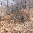 작곡재 좌측 이미지