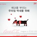 콜라폰 이미지