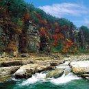 수달펜션 이미지