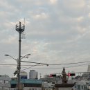 이순신광장 | 여수당 이순신광장 맛집 먹거리 후기