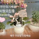 달이네찬 이미지