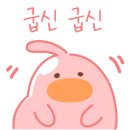 디투블루 이미지