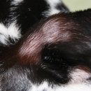 해원 동물병원 이미지