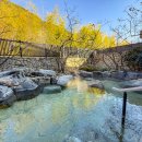 힐링 다도여행 | 충주 수안보 유원재 온천호텔 힐링 여행 다녀온 후기