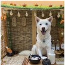 진해유치원 이미지