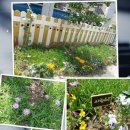 노란지붕공방