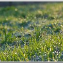 효심 태양광발전소 이미지