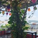 톰하우스 이미지