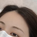 팽브로우 이미지