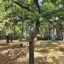 탄금공원 (탄금대로 방향) 이미지