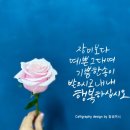 감성미니 이미지