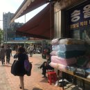 송월종합상사