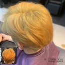 도도맨즈 이미지