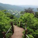 삼봉산(三峰山414m).시궁산(時宮山515m).갈미봉(葛味峰332.2m).묘봉 (卯峰 228m)/경기 용인.안성 이미지