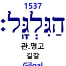 H1537 네이버블로그